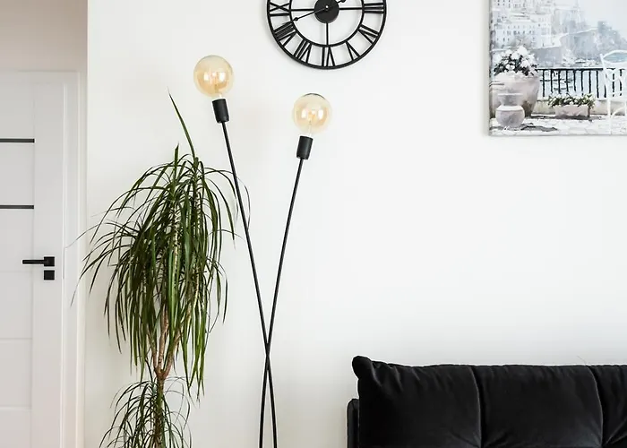 Brzeziny Deluxe By Bookinghost